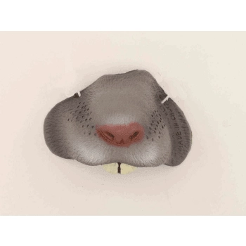abracadabranyc143577