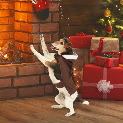 christmascentral16497