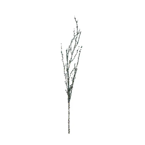 christmascentral3032469