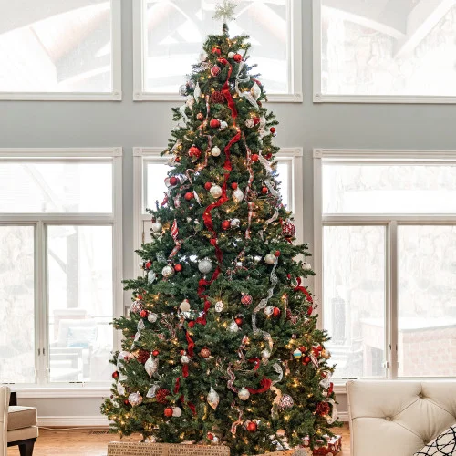 christmascentral3393686