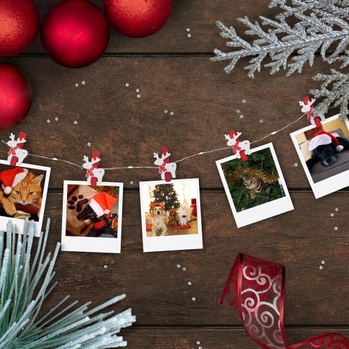 christmascentral57624