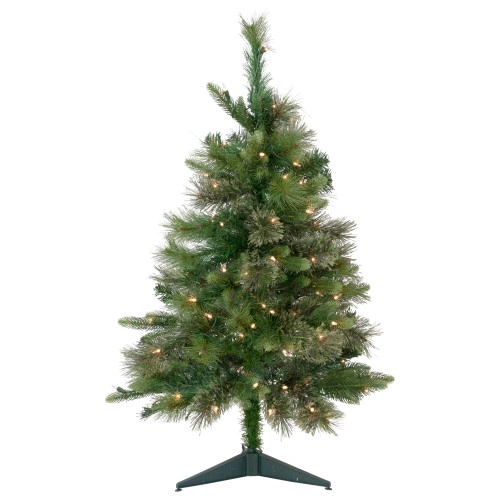 christmascentral80139