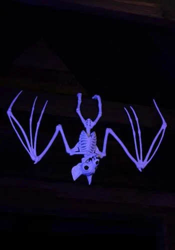 halloweencostumes3017312
