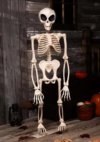 halloweencostumes3040146