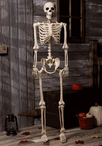 halloweencostumes3041491