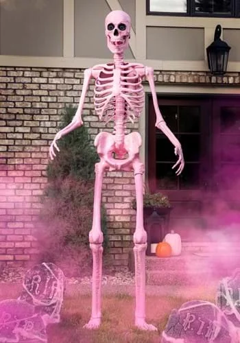 halloweencostumes3049255