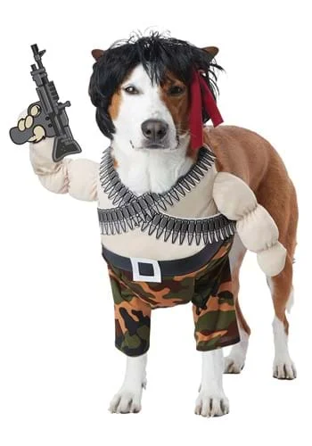 halloweencostumes3056540