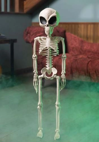 halloweencostumes3222958