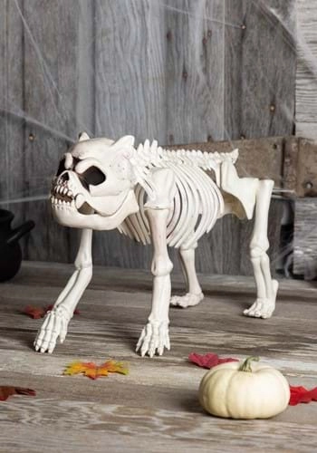 halloweencostumes3267918