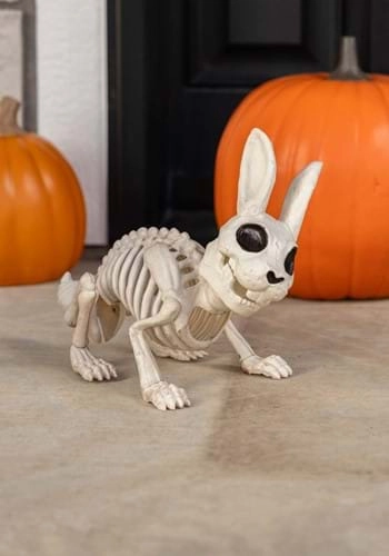 halloweencostumes3284077