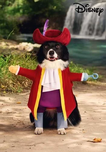 halloweencostumes3384271