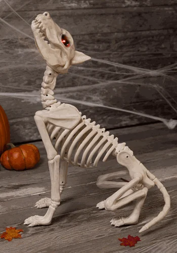halloweencostumes3573004