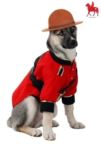 halloweencostumes3848306