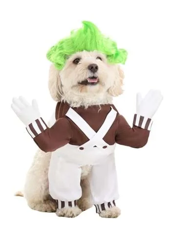 halloweencostumes3866350