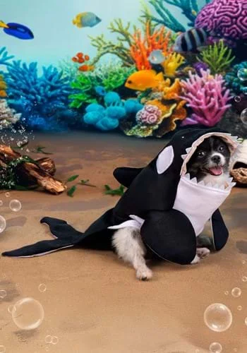 halloweencostumes3868447