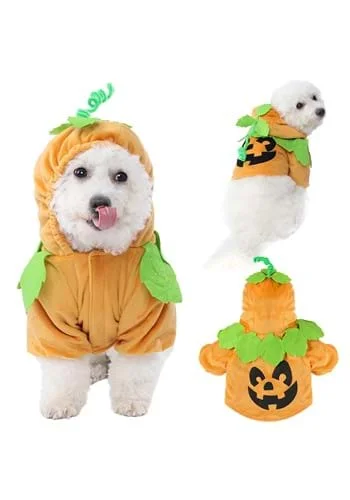 halloweencostumes3954085