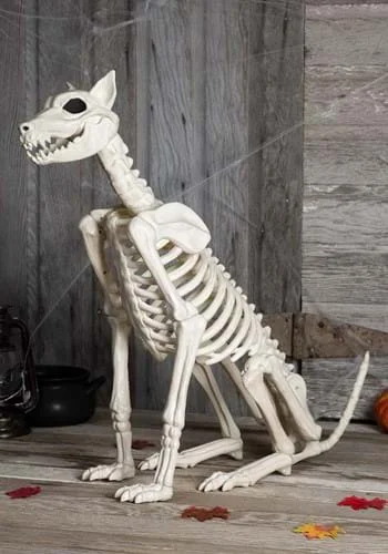 halloweencostumes3990361