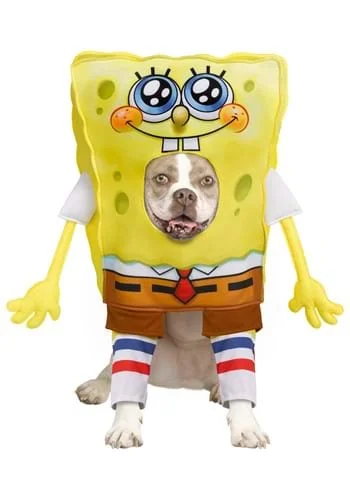 halloweencostumes3991156