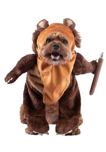 halloweencostumes3994174