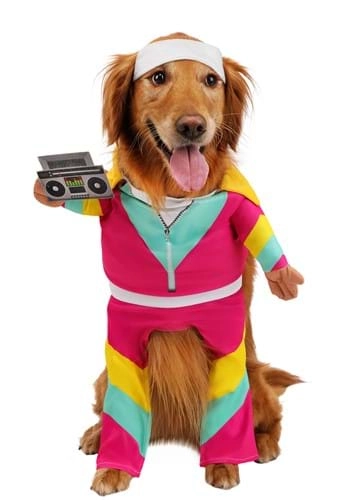 halloweencostumes4041263