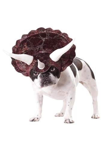 halloweencostumes4042615