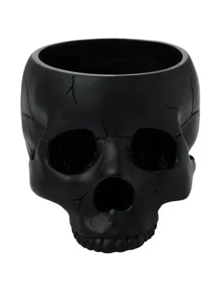 spirithalloween3025646